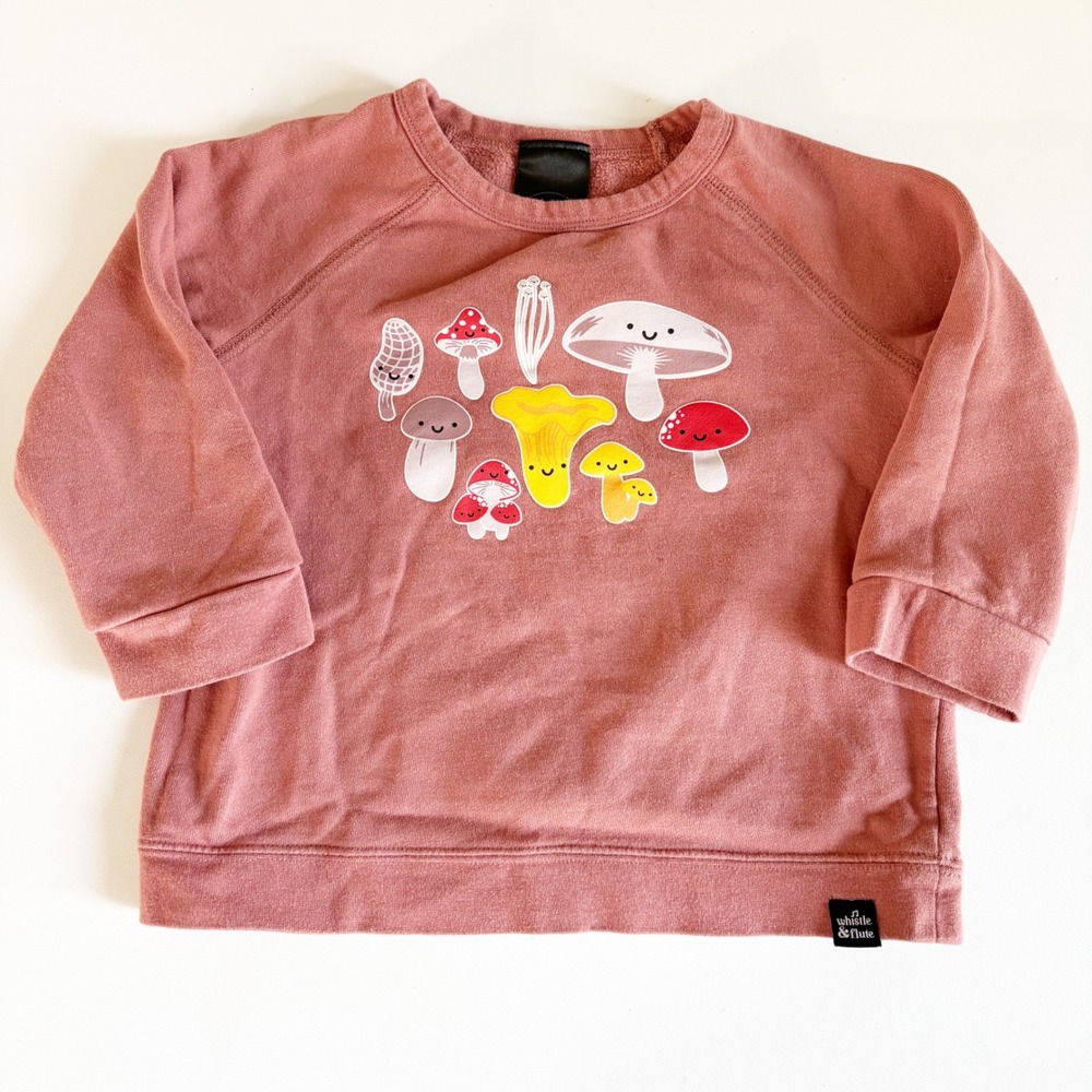 Whistle & Flute Girls Mushroom Graphic Organic Cotton Raglan Sweatshirt 3-4Y